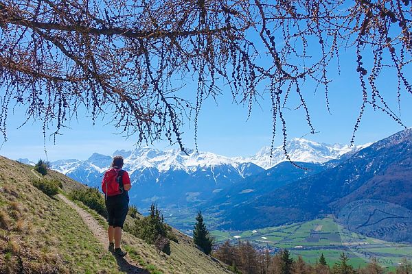 Wandertour Berglouter Morter