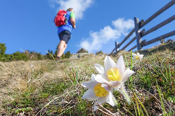 Wandertour Berglouter Morter